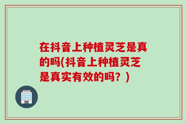在抖音上种植灵芝是真的吗(抖音上种植灵芝是真实有效的吗？)