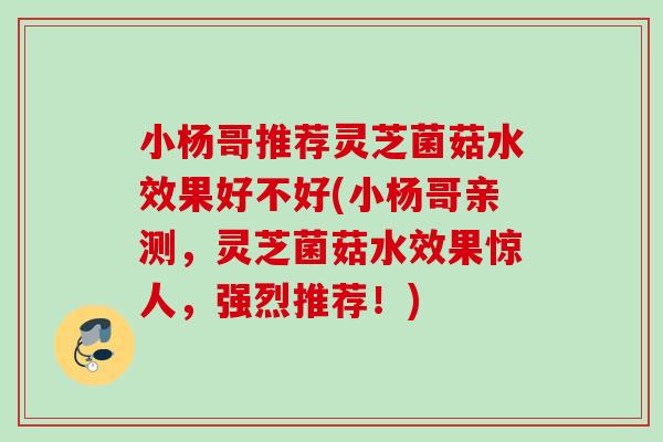 小杨哥推荐灵芝菌菇水效果好不好(小杨哥亲测，灵芝菌菇水效果惊人，强烈推荐！)