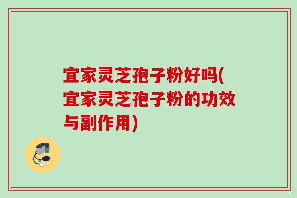 宜家灵芝孢子粉好吗(宜家灵芝孢子粉的功效与副作用)