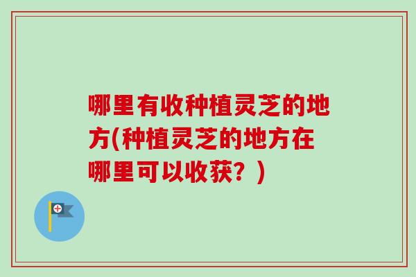 哪里有收种植灵芝的地方(种植灵芝的地方在哪里可以收获？)
