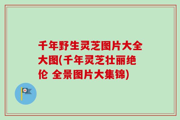 千年野生灵芝图片大全大图(千年灵芝壮丽绝伦 全景图片大集锦)