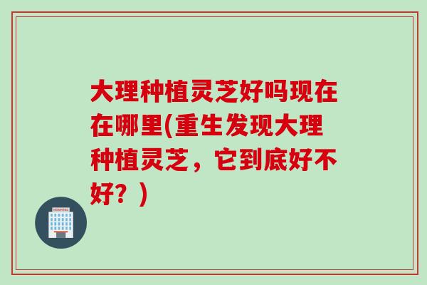 大理种植灵芝好吗现在在哪里(重生发现大理种植灵芝，它到底好不好？)