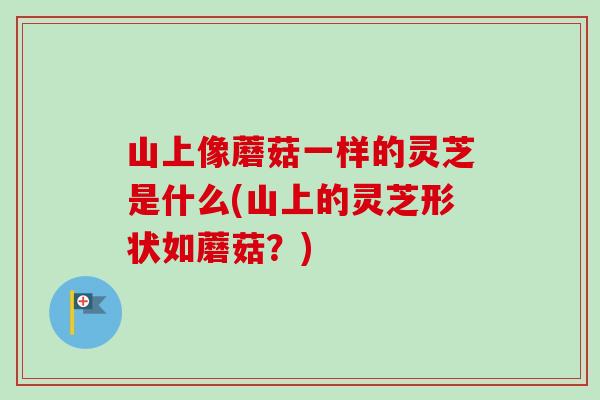 山上像蘑菇一样的灵芝是什么(山上的灵芝形状如蘑菇？)
