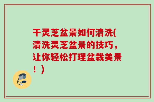 干灵芝盆景如何清洗(清洗灵芝盆景的技巧，让你轻松打理盆栽美景！)