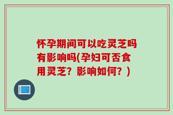 怀孕期间可以吃灵芝吗有影响吗(孕妇可否食用灵芝？影响如何？)