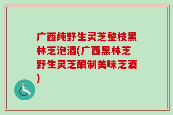 广西纯野生灵芝整枝黑林芝泡酒(广西黑林芝野生灵芝酿制美味芝酒)