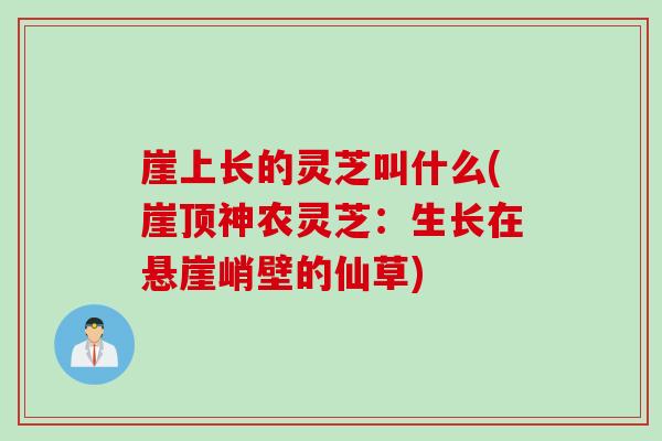 崖上长的灵芝叫什么(崖顶神农灵芝：生长在悬崖峭壁的仙草)
