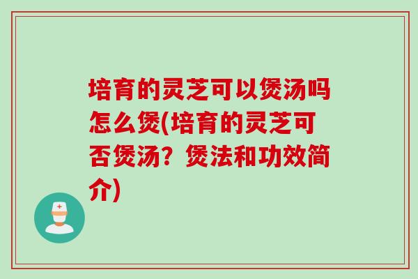 培育的灵芝可以煲汤吗怎么煲(培育的灵芝可否煲汤？煲法和功效简介)