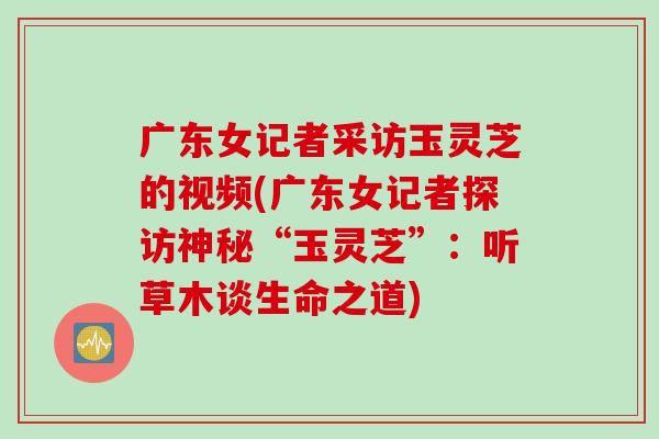 广东女记者采访玉灵芝的视频(广东女记者探访神秘“玉灵芝”：听草木谈生命之道)