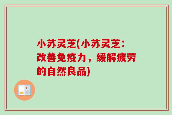 小苏灵芝(小苏灵芝：改善免疫力，缓解疲劳的自然良品)