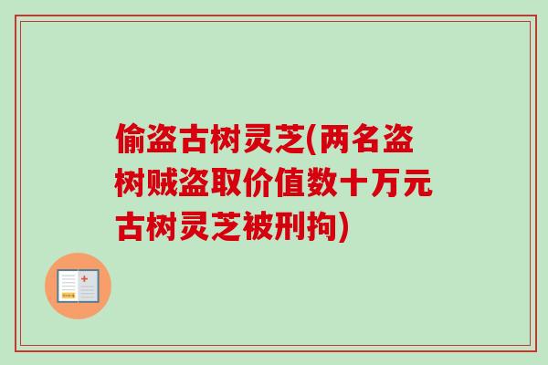 偷盗古树灵芝(两名盗树贼盗取价值数十万元古树灵芝被刑拘)
