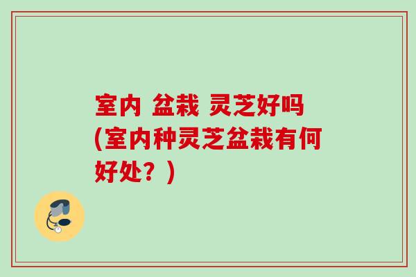 室内 盆栽 灵芝好吗(室内种灵芝盆栽有何好处？)