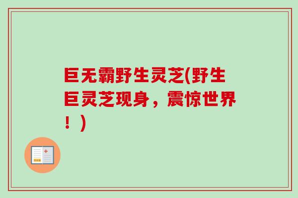 巨无霸野生灵芝(野生巨灵芝现身，震惊世界！)