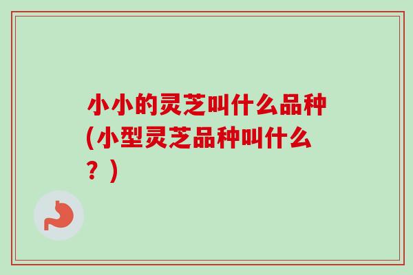 小小的灵芝叫什么品种(小型灵芝品种叫什么？)