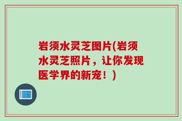 岩须水灵芝图片(岩须水灵芝照片，让你发现医学界的新宠！)