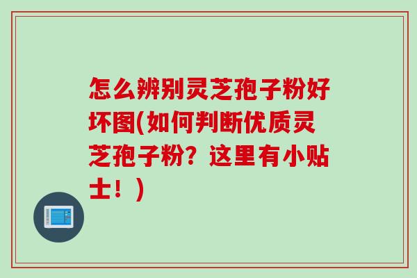 怎么辨别灵芝孢子粉好坏图(如何判断优质灵芝孢子粉？这里有小贴士！)