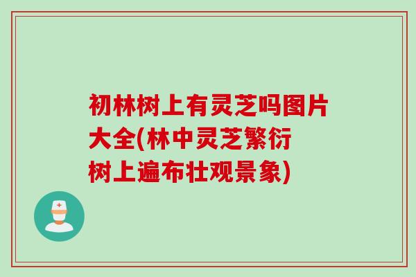 初林树上有灵芝吗图片大全(林中灵芝繁衍 树上遍布壮观景象)