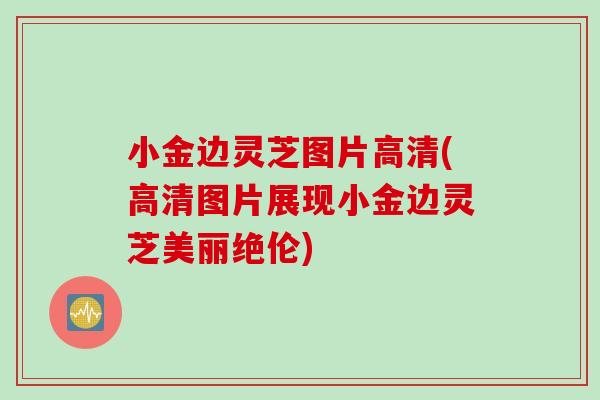 小金边灵芝图片高清(高清图片展现小金边灵芝美丽绝伦) 小金边灵芝图片高清(高清图片展现小金边灵芝美丽绝伦)