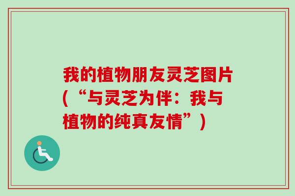我的植物朋友灵芝图片(“与灵芝为伴：我与植物的纯真友情”)