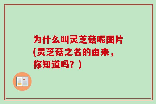 为什么叫灵芝菇呢图片(灵芝菇之名的由来，你知道吗？)