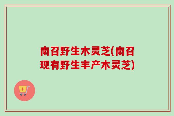 南召野生木灵芝(南召现有野生丰产木灵芝) 南召野生木灵芝(南召现有野生丰产木灵芝)
