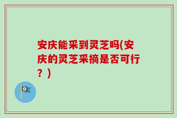 安庆能采到灵芝吗(安庆的灵芝采摘是否可行？)