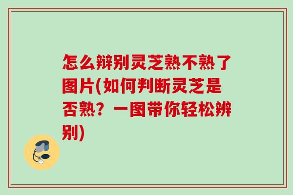 怎么辩别灵芝熟不熟了图片(如何判断灵芝是否熟?一图带你轻松辨别) 怎么辩别灵芝熟不熟了图片(如何判断灵芝是否熟?一图带你轻松辨别)
