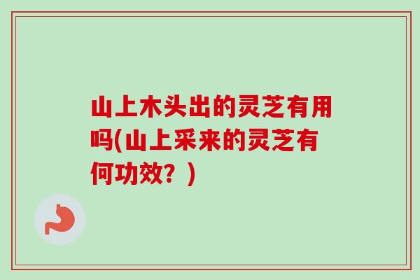 山上木头出的灵芝有用吗(山上采来的灵芝有何功效？)