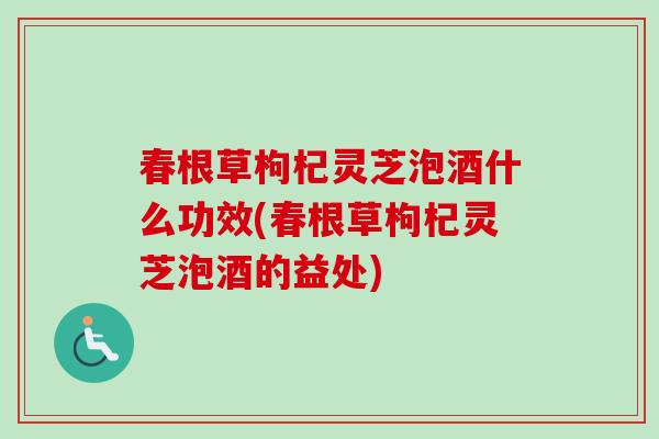 春根草枸杞灵芝泡酒什么功效(春根草枸杞灵芝泡酒的益处)