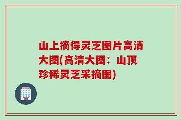 山上摘得灵芝图片高清大图(高清大图：山顶珍稀灵芝采摘图)