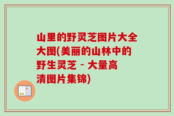 山里的野灵芝图片大全大图(美丽的山林中的野生灵芝 - 大量高清图片集锦)