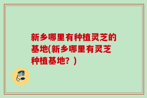 新乡哪里有种植灵芝的基地(新乡哪里有灵芝种植基地？)