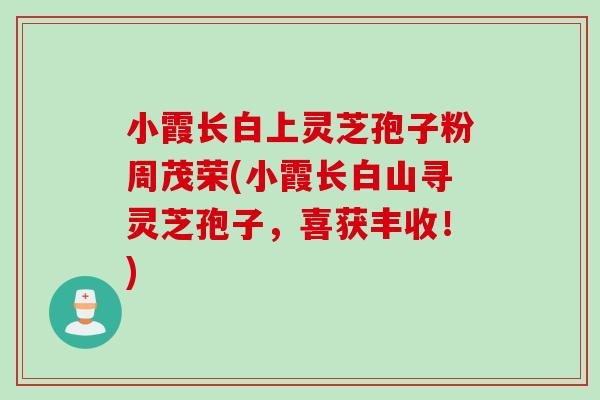小霞长白上灵芝孢子粉周茂荣(小霞长白山寻灵芝孢子,喜获丰收!) 小霞长白上灵芝孢子粉周茂荣(小霞长白山寻灵芝孢子,喜获丰收!)