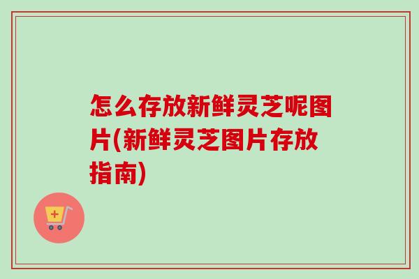 怎么存放新鲜灵芝呢图片(新鲜灵芝图片存放指南)