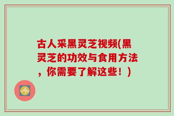 古人采黑灵芝视频(黑灵芝的功效与食用方法，你需要了解这些！)