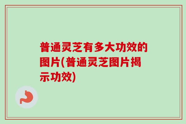 普通灵芝有多大功效的图片(普通灵芝图片揭示功效)