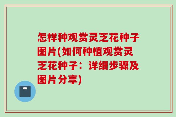 怎样种观赏灵芝花种子图片(如何种植观赏灵芝花种子:详细步骤及图片分享) 怎样种观赏灵芝花种子图片(如何种植观赏灵芝花种子:详细步骤及图片分享)