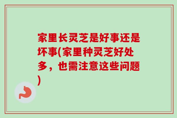 家里长灵芝是好事还是坏事(家里种灵芝好处多，也需注意这些问题)