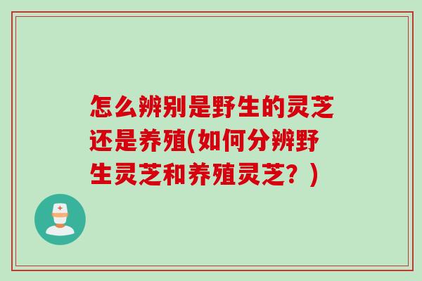 怎么辨别是野生的灵芝还是养殖(如何分辨野生灵芝和养殖灵芝？)