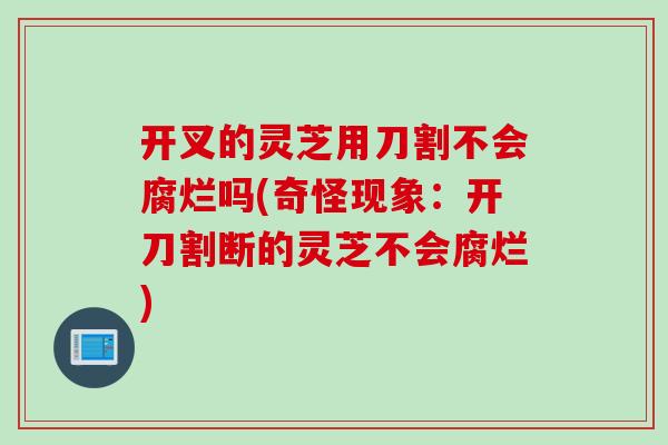 开叉的灵芝用刀割不会腐烂吗(奇怪现象：开刀割断的灵芝不会腐烂)