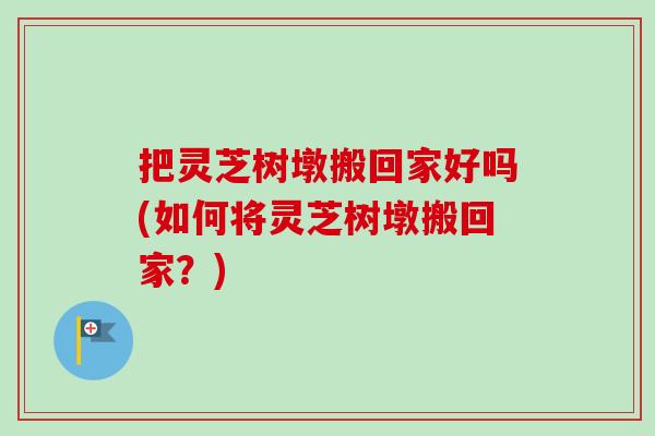 把灵芝树墩搬回家好吗(如何将灵芝树墩搬回家?) 把灵芝树墩搬回家好吗(如何将灵芝树墩搬回家?)