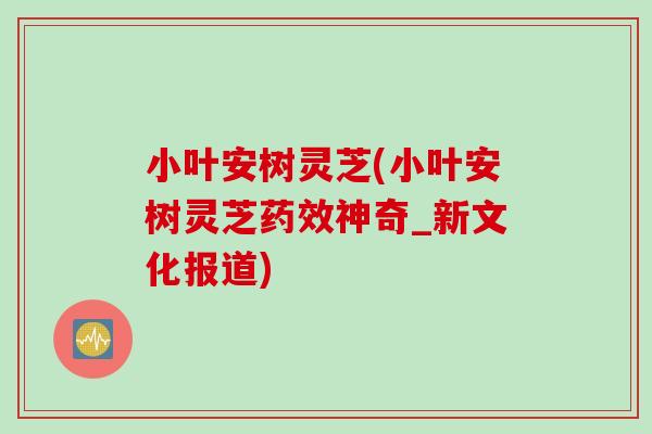 小叶安树灵芝(小叶安树灵芝神奇_新文化报道) 小叶安树灵芝(小叶安树灵芝神奇_新文化报道)