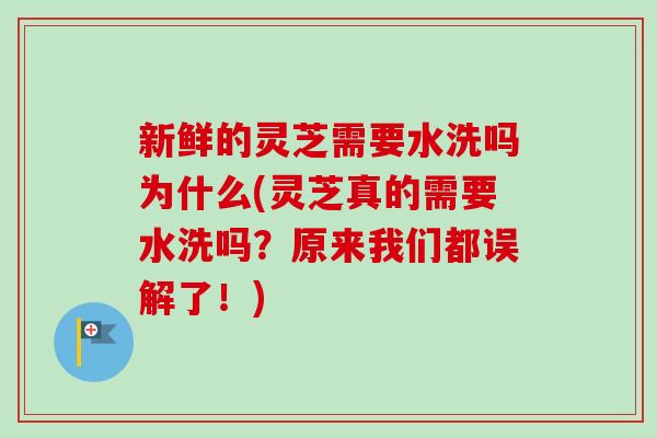 新鲜的灵芝需要水洗吗为什么(灵芝真的需要水洗吗?原来我们都误解了!) 新鲜的灵芝需要水洗吗为什么(灵芝真的需要水洗吗?原来我们都误解了!)
