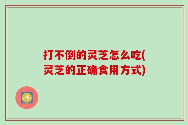 打不倒的灵芝怎么吃(灵芝的正确食用方式)