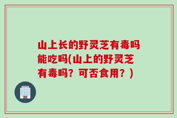 山上长的野灵芝有毒吗能吃吗(山上的野灵芝有毒吗？可否食用？)