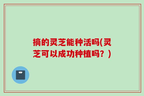 摘的灵芝能种活吗(灵芝可以成功种植吗？)