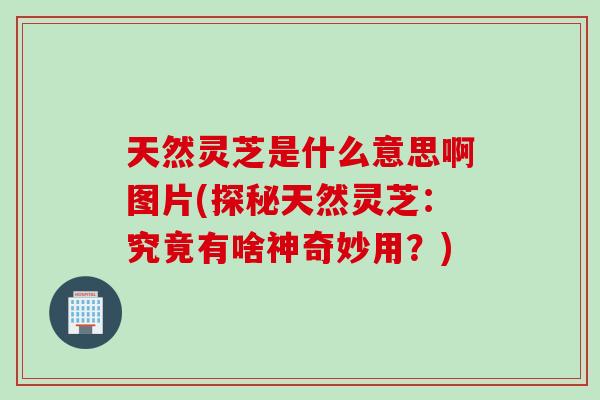 天然灵芝是什么意思啊图片(探秘天然灵芝：究竟有啥神奇妙用？)
