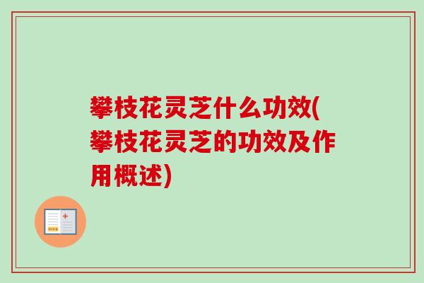 攀枝花灵芝什么功效(攀枝花灵芝的功效及作用概述)