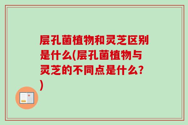 层孔菌植物和灵芝区别是什么(层孔菌植物与灵芝的不同点是什么?) 层孔菌植物和灵芝区别是什么(层孔菌植物与灵芝的不同点是什么?)