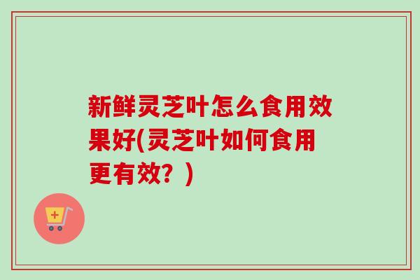 新鲜灵芝叶怎么食用效果好(灵芝叶如何食用更有效？)
